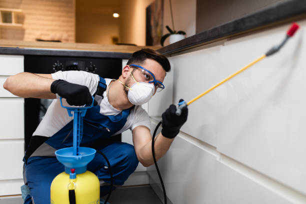 Best Pest Removal Services  in Gold Canyon, AZ