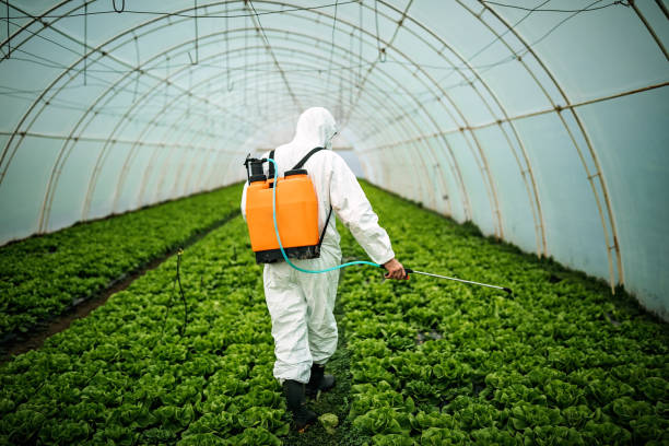 Best Mosquito Control Services  in Gold Canyon, AZ