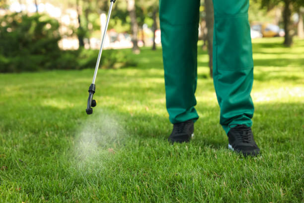 Best Residential Pest Control  in Gold Canyon, AZ