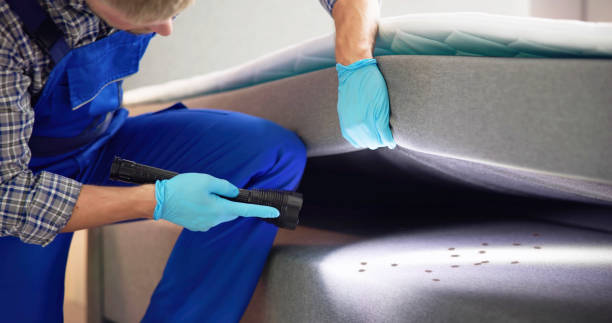 Best Pest Inspection Near Me  in Gold Canyon, AZ