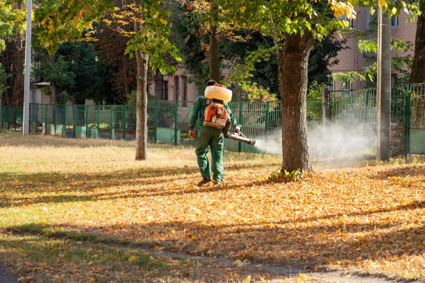 Best Flea Control Services  in Gold Canyon, AZ