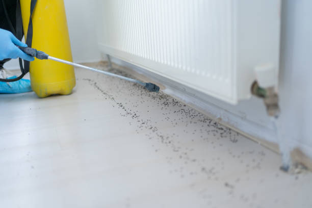Best Commercial Pest Control Services  in Gold Canyon, AZ