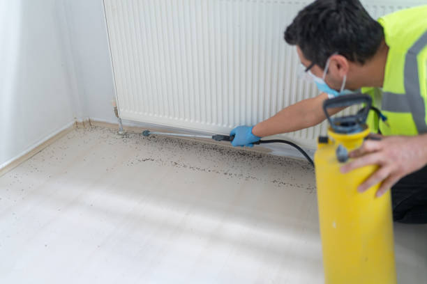 Best Mosquito Control Services  in Gold Canyon, AZ