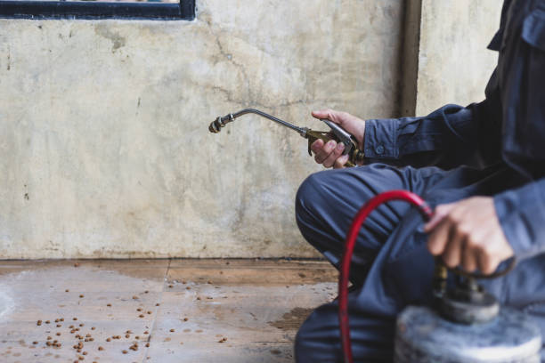 Best Pest Removal Services  in Gold Canyon, AZ